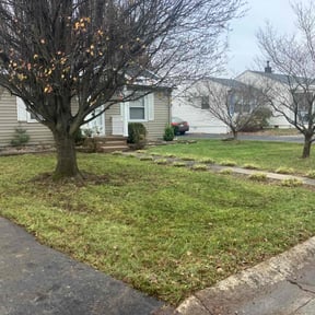 Leaf Removal by Star Landscaping reviewed on December 11, 2025