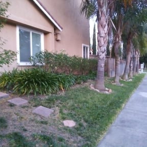 Bush Trimming by YardGoat Mowing reviewed on August 19, 2025