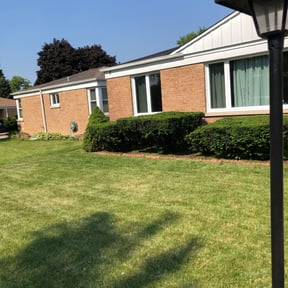 Bush Trimming by Zunigas Green Care LLC reviewed on August 18, 2025