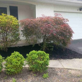 Flower Bed Weeding by Lonestar Landscaping group reviewed on May 28, 2026