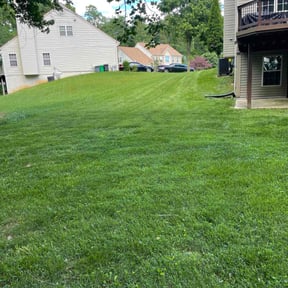 residential landscaping by LAWN CARE AND DELIVERY SERVICES LLC reviewed on December 20, 2025