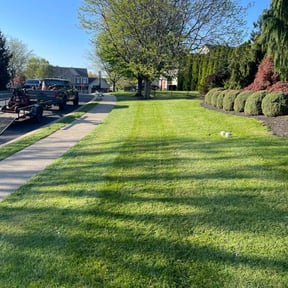 landscaping services by Omste Landscape Maintenance reviewed on August 21, 2025