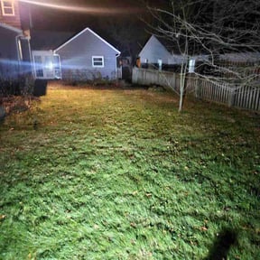 Leaf Removal by Sunnyside of Hillsborough  reviewed on September 12, 2025