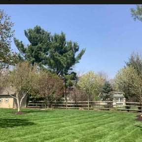 grass cutting by Kingdom Creations reviewed on May 31, 2025