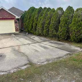 Bush Trimming by Lawn for life reviewed on January 3, 2026