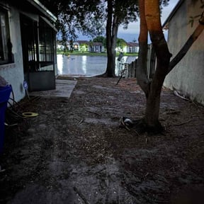 Leaf Removal by Parker Landscape &amp; Maintenance reviewed on March 8, 2026