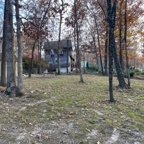 Leaf Removal by Native LandCare LLC reviewed on November 18, 2025