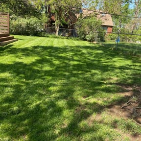 yard work by Start2Finish reviewed on August 19, 2025