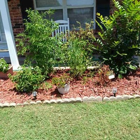 Flower Bed Weeding by Scott's Landscaping And Pool Service reviewed on July 22, 2026