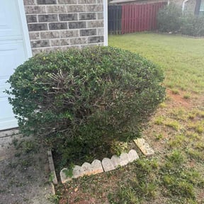 Bush Trimming by Season To Season  reviewed on November 10, 2025