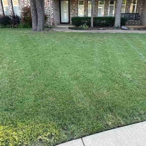 lawn care services by Vexs Lawncutters reviewed on January 6, 2024