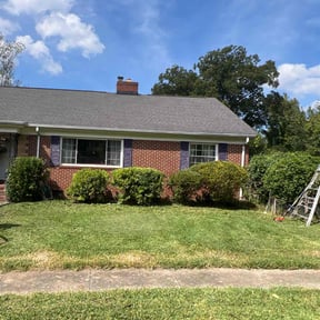 Bush Trimming by Cox and son lawn care reviewed on August 19, 2025