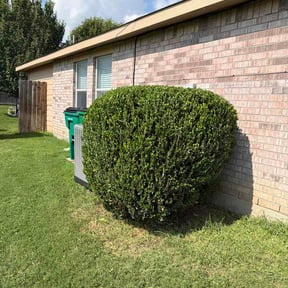 Bush Trimming by Front 9 Lawn Services reviewed on June 21, 2026