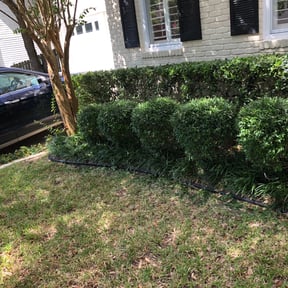 Bush Trimming by Landscape reviewed on August 17, 2025