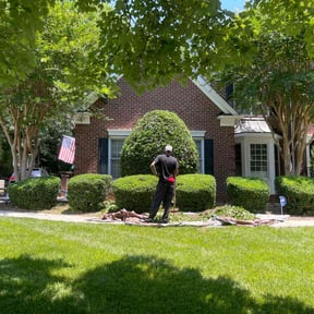 Bush Trimming by Ultimate Landscape Contractor reviewed on August 18, 2025