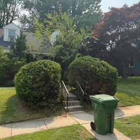 Bush Trimming by EMP GROUNDSKEEPING LLC reviewed on July 15, 2026