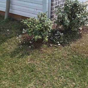 Flower Bed Weeding by Gutierrez Green Solutions reviewed on August 23, 2026