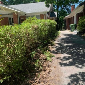 Bush Trimming by HighGrove Landscaping reviewed on August 16, 2025
