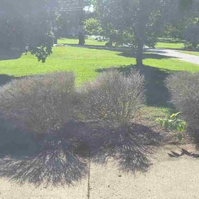 Flower Bed Weeding by Seasonally Mowtivated LLC reviewed on May 14, 2026