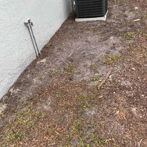 Leaf Removal by Bay Land &amp; Trees Llc. reviewed on April 11, 2025