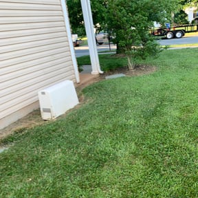 Bush Trimming by Byers Lawn reviewed on August 20, 2025