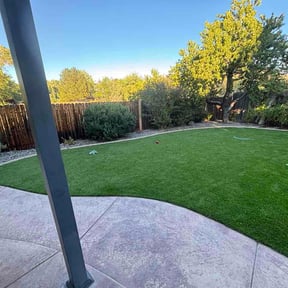 Bush Trimming by Sousa Lawn Care reviewed on August 6, 2026