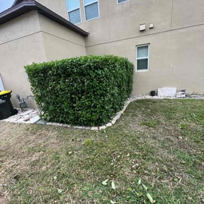 Bush Trimming by Tatum Lawn Care Services reviewed on November 26, 2025
