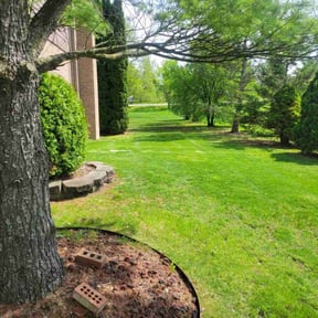 lawn care by Livery Services LTD, llc reviewed on August 16, 2025