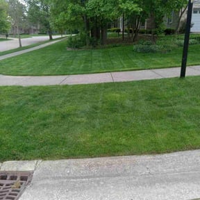 yard maintenance by Grizzly Lawn Care and Snow Removal reviewed on November 24, 2025