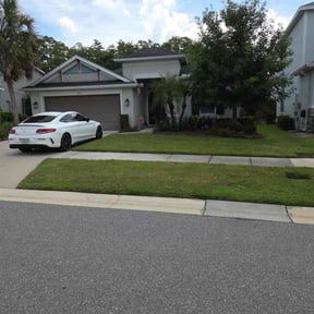 turf care by Sargent Lawncare reviewed on August 16, 2025