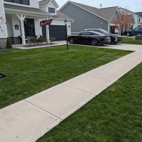 turf care by Loza Green & Handy reviewed on September 26, 2023