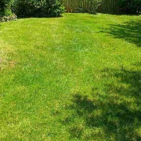 Leaf Removal by Vic landscaping reviewed on June 12, 2026