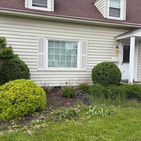 Bush Trimming by Glofel landscaping Llc reviewed on June 4, 2026