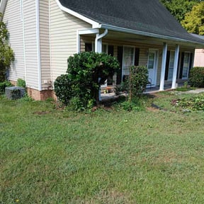 Bush Trimming by K&V LANDSCAPING reviewed on August 20, 2025