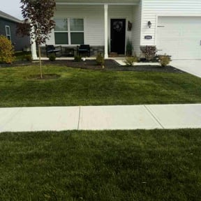 yard maintenance by Do it all reviewed on August 17, 2025