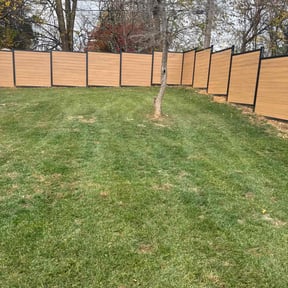 Leaf Removal by Everblades reviewed on November 24, 2025