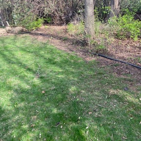 Leaf Removal by Richard Enterprise reviewed on September 30, 2025