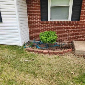 Bush Trimming by All Electric Landscaping reviewed on August 17, 2025
