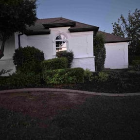 Bush Trimming by Blue Diamond Cleaning Services reviewed on October 19, 2025