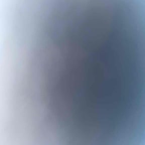 Leaf Removal by Yard boyz reviewed on October 3, 2025