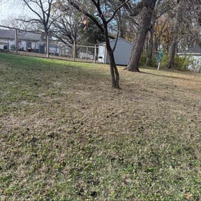 Leaf Removal by Geaux Gibbs reviewed on November 22, 2025