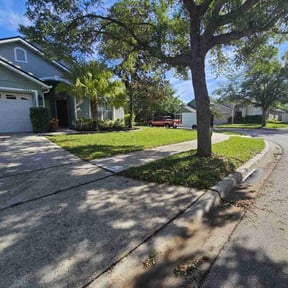 landscaping services by Green Earth Lawn and snow LLC reviewed on August 19, 2025
