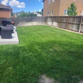 yard maintenance by Scarlet and gray Lawn Care Management LLC reviewed on August 16, 2025