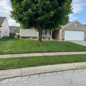 gardening service by Shield Hygienic  Services llc reviewed on November 18, 2023