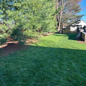 yard work by Torres Lawn Care reviewed on August 18, 2025