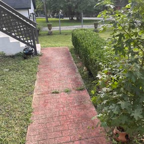 Bush Trimming by Charles G Landscaping LLC reviewed on August 1, 2026