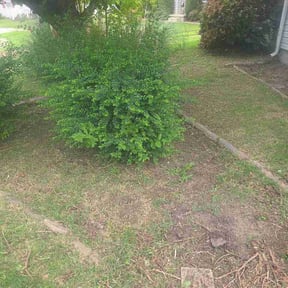 Flower Bed Weeding by Leaf B Gone reviewed on July 8, 2026