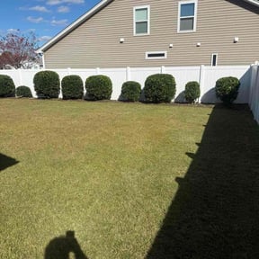 Bush Trimming by Craig cuts reviewed on November 24, 2025