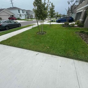 landscaping by CQC reviewed on May 2, 2024