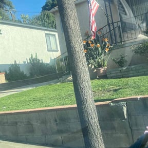 lawn care by Forever Green FG LLC reviewed on May 3, 2025